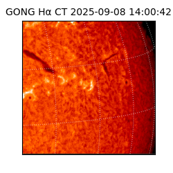 gong - 2025-09-08T14:00:42