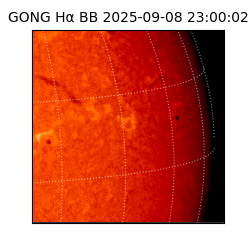 gong - 2025-09-08T23:00:02