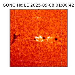 gong - 2025-09-08T01:00:42