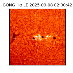 gong - 2025-09-08T02:00:42