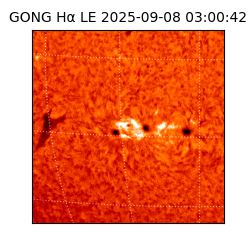 gong - 2025-09-08T03:00:42