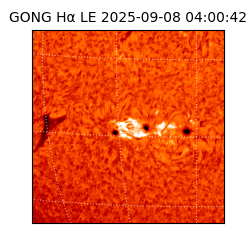 gong - 2025-09-08T04:00:42