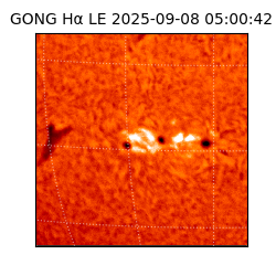 gong - 2025-09-08T05:00:42