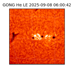 gong - 2025-09-08T06:00:42