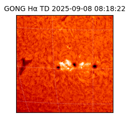 gong - 2025-09-08T08:18:22