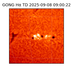 gong - 2025-09-08T09:00:22