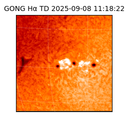 gong - 2025-09-08T11:18:22