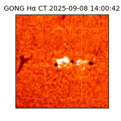 gong - 2025-09-08T14:00:42