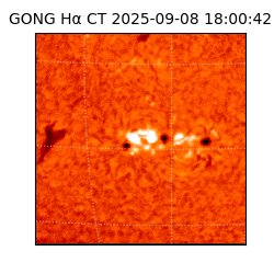 gong - 2025-09-08T18:00:42