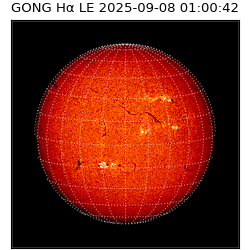 gong - 2025-09-08T01:00:42