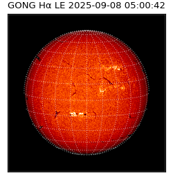 gong - 2025-09-08T05:00:42