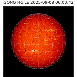 gong - 2025-09-08T06:00:42