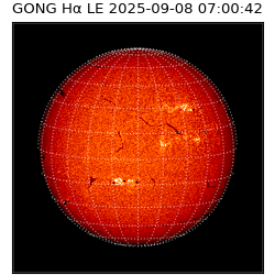 gong - 2025-09-08T07:00:42
