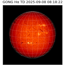 gong - 2025-09-08T08:18:22