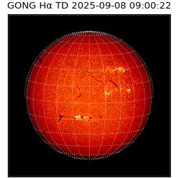 gong - 2025-09-08T09:00:22