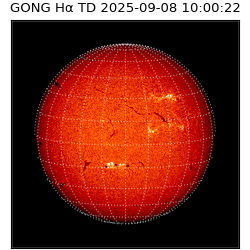 gong - 2025-09-08T10:00:22