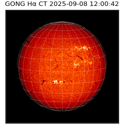 gong - 2025-09-08T12:00:42