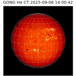 gong - 2025-09-08T14:00:42