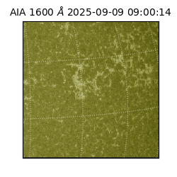 saia - 2025-09-09T09:00:14.118000