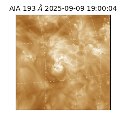 saia - 2025-09-09T19:00:04.843000