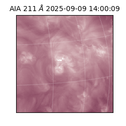 saia - 2025-09-09T14:00:09.630000