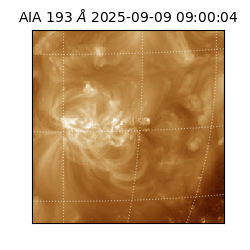 saia - 2025-09-09T09:00:04.835000