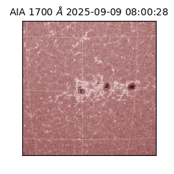 saia - 2025-09-09T08:00:28.719000