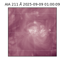 saia - 2025-09-09T01:00:09.633000