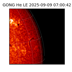 gong - 2025-09-09T07:00:42