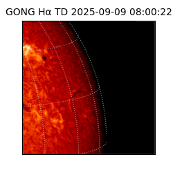 gong - 2025-09-09T08:00:22