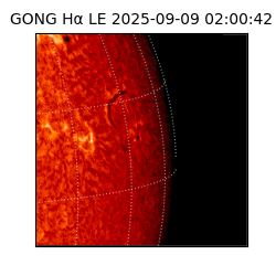 gong - 2025-09-09T02:00:42