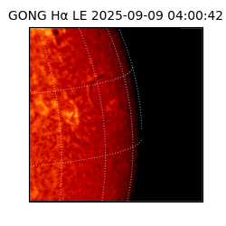 gong - 2025-09-09T04:00:42