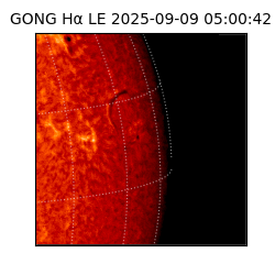 gong - 2025-09-09T05:00:42