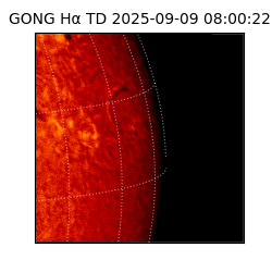gong - 2025-09-09T08:00:22