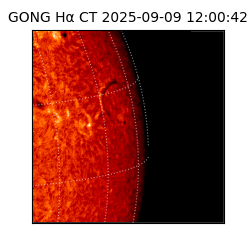 gong - 2025-09-09T12:00:42