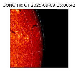 gong - 2025-09-09T15:00:42