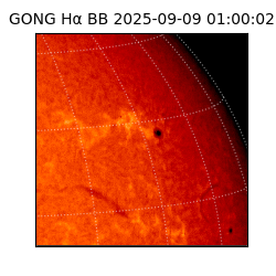 gong - 2025-09-09T01:00:02