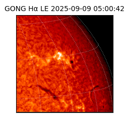 gong - 2025-09-09T05:00:42