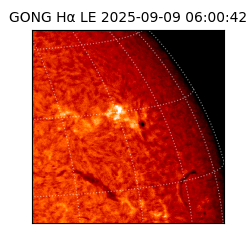 gong - 2025-09-09T06:00:42