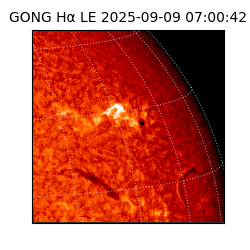 gong - 2025-09-09T07:00:42