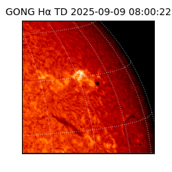 gong - 2025-09-09T08:00:22