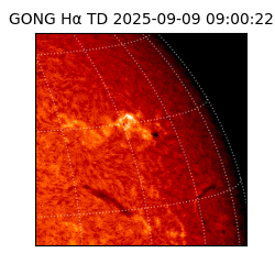 gong - 2025-09-09T09:00:22