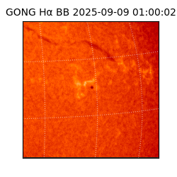 gong - 2025-09-09T01:00:02