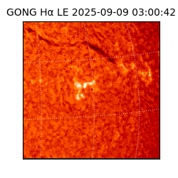 gong - 2025-09-09T03:00:42