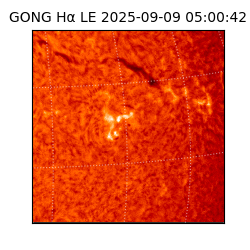 gong - 2025-09-09T05:00:42