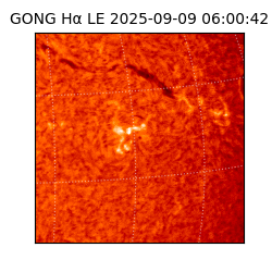 gong - 2025-09-09T06:00:42