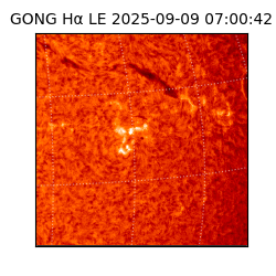 gong - 2025-09-09T07:00:42