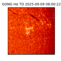 gong - 2025-09-09T08:00:22