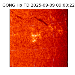 gong - 2025-09-09T09:00:22