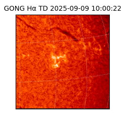 gong - 2025-09-09T10:00:22